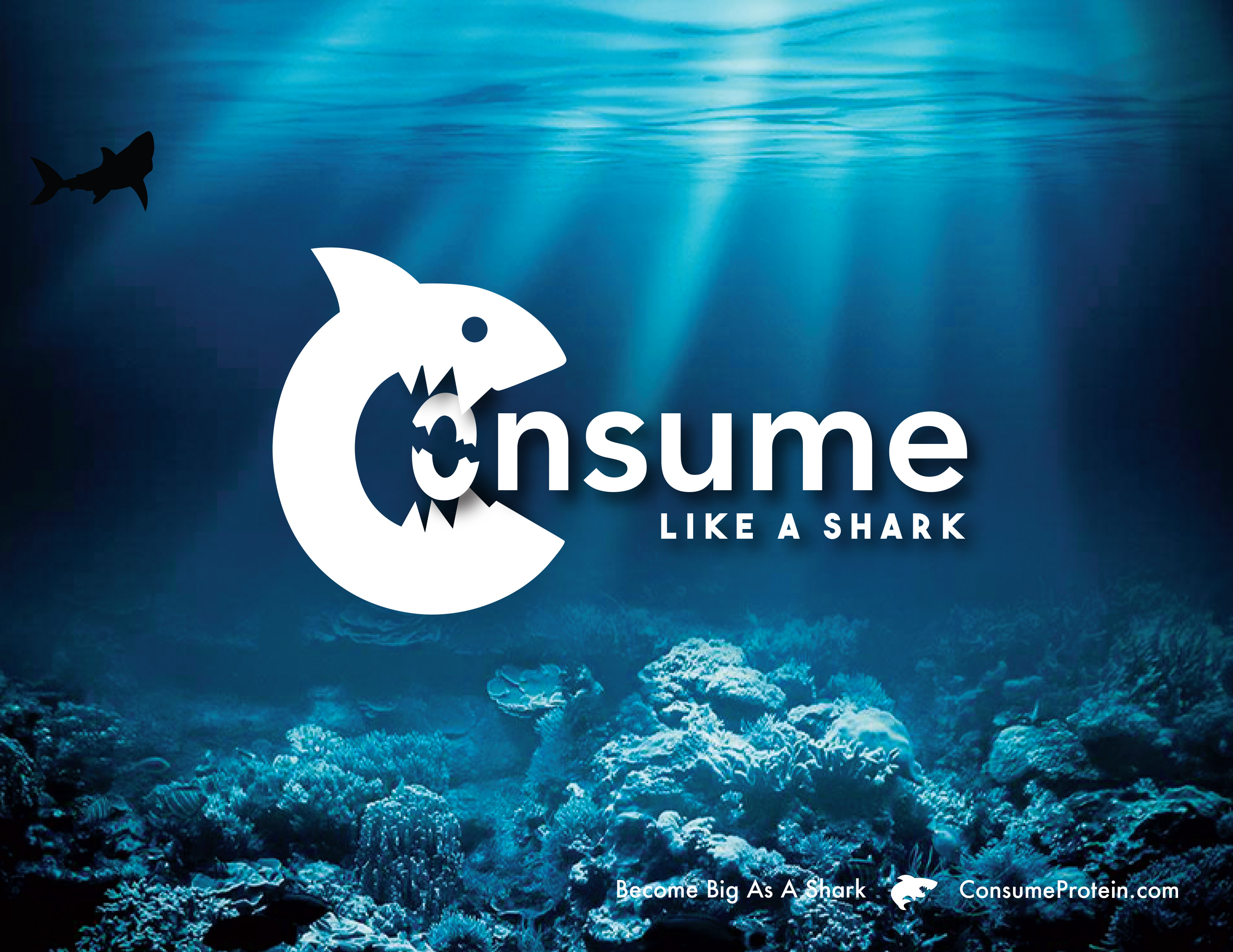 Consume Brand Identity